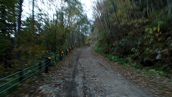 フラットダート